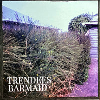 The Trendees - Barmaid 7"
