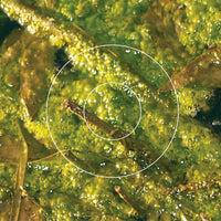 V/A - The Nature Of Systems CD