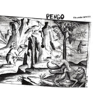 Pengo – File Under WTF??? LP