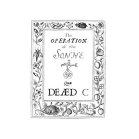 The Dead C - Operation Of The Sonne LP