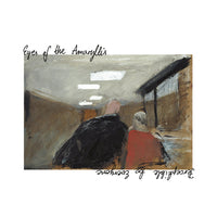 Eyes Of The Amaryllis - Perceptible To Everyone LP