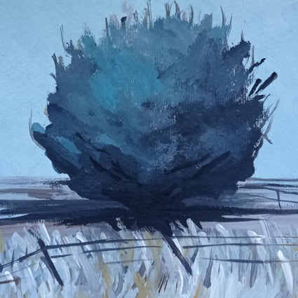 Simon Joyner - The VHS-C Session at Cantine Polvanera CS