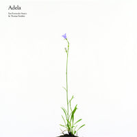 Eva Fernández Suárez & Thomas Barrière - Adela LP