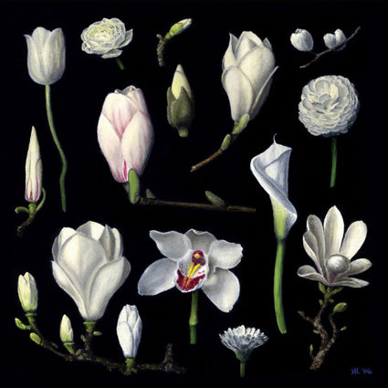 Sandoz Lab Technicians - New Botany 2LP