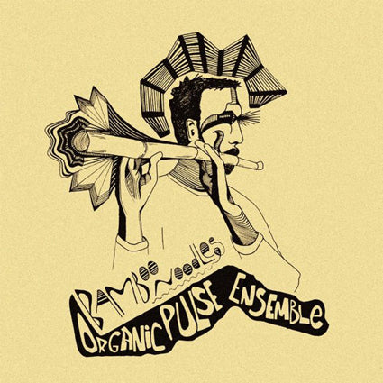 Organic Pulse Ensemble - Bamboo Noodles 10"