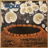 Mold - Secret Things Of The Outside World LP