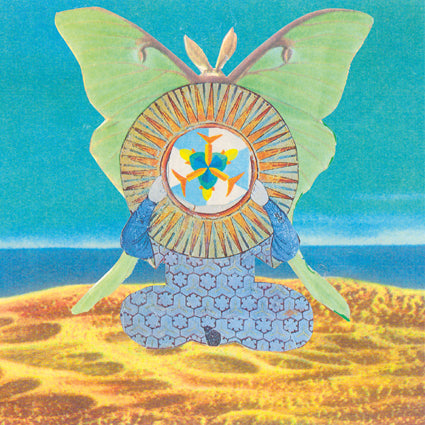 The Skygreen Leopards -  The Jingling World of The Skygreen Leopards LP