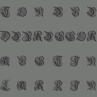 Tongue Depressor & Austin Larkin LP