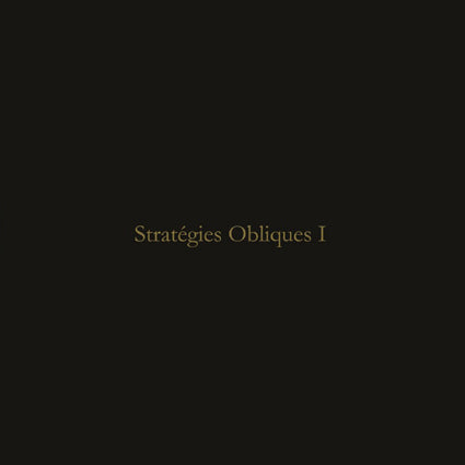Giancarlo Toniutti/Massimo Toniutti - Stratégies Obliques I LP